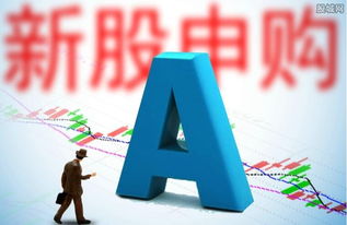 左江科技申購啟動(dòng) 網(wǎng)絡(luò)信息技術(shù)新銳何時(shí)登陸資本市場(chǎng)